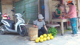 Single mom: Harvesting grapefruit to sell at the country market. clean the grass around the house