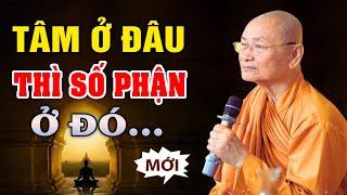 Tâm Ở Đâu Thì Số Phận Ở Đó ( hay quá ) | Hòa Thượng Viên Minh