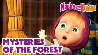 Masha and the Bear 2024 |‍️ Mysteries of the Forest |  Mushroom Rain ️  Coming on October 18!