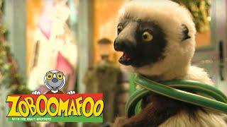 Zoboomafoo 122 - Pets (Full Episode)