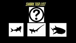 The Shark Tier List