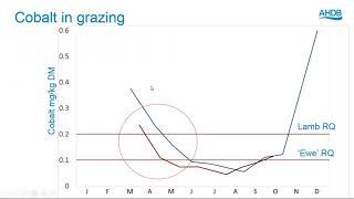 Webinar: Trace elements in beef and sheep production
