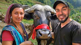 I Gifted $800 Buffalo to Nepal's Kindest Family*emotional*