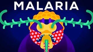 Genetic Engineering and Diseases – Gene Drive & Malaria