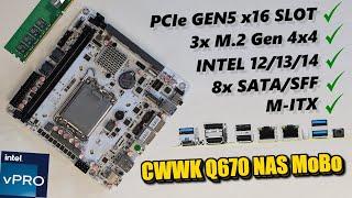 NEW CWWK Q670 8-Bay Gen5 NAS vPro Mobo Review