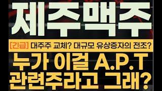 [제주맥주] 대주주교체? 유상증자 징조? 급등의 전말은?