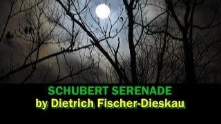 Schubert Serenade - Fischer-Dieskau, with lyrics & English translation subtitles