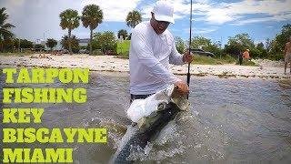 TARPON FISHING KEY BISCAYNE, MANGROVE SNAPPER, JACK CREVALLE MIAMI INSHORE FISHING