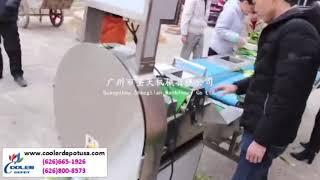 Commercial vegetable washer /Vegetable washing machine