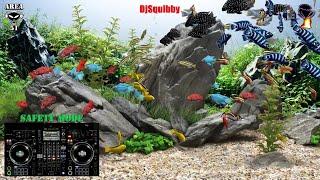 DjSquibby, Progressive, Melodic, House, Techno, EDM, DJ Live Music Mix, Area 51, Twitch, 01-06-2023