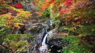 683 大石湖老边沟：醉人枫景