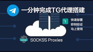 仅需一分钟：快速搭建Socks5代理