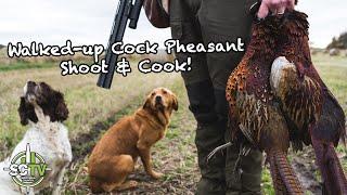 S&C TV | S&C TV | Tim's Wild Kitchen 8 | Walked-up pheasant shoot & cock pheasant recipe