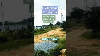 #narsapur farmlands#farmlands for sale#hyderabad farmlands#agricultural land for sale