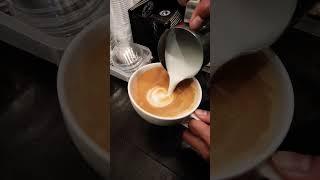 practice latte art #coffee #latteart #youtubeshort #short @dritanalsela @BaristaOz @BaristaKim