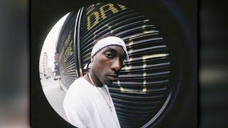 [FREE] "WILD" - Big L Freestyle Type Rap Beat | Dark Boom Bap Underground Type Beat (2023)