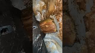 Log vs Track!