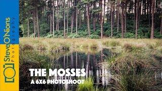 Landscape Film Photography  at Doolittle Moss