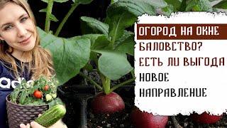 ОГОРОД НА ОКНЕ БАЛОВСТВО? ЕСТЬ ЛИ ВЫГОДА? НОВОЕ НАПРАВЛЕНИЕ СИТИФЕРМЕР.