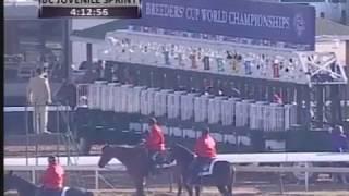 2011 Breeders Cup Juvenile Sprint (Secret Circle)