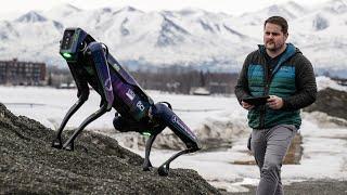 Alaska DOT tests robotic dog for use in airport wildlife mitigation