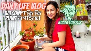 কি কি plant লগাইছো ? Balcony Plantation | Assamese Daily Vlog-53 |