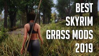 Skyrim SE: Best Grass Mods