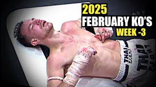 MMA & Boxing Knockouts I February 2025 Week 3