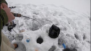 Ice fishing for the MYSTERY FISH at Lake Dillon!