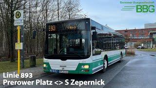 BBG & BVG Linie 893 | Berlin, Prerower Platz - S Zepernick (2023)