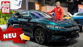 BYD Han EV (2023) | Erster Check im Mercedes-EQE-Gegner aus China | Vorstellung mit Peter Fischer