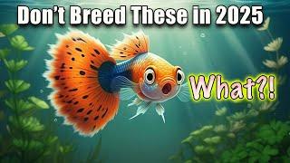 Don't Breed These Fish in 2025!