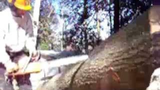 Chainsaw Boring Cut, otherwise called a Plunge cut - 03:41  - Dec 1, 2007