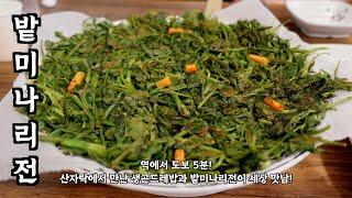 [음식남] 역에서 도보 5분! 산기슭에서 만난 생곤드레밥과 밭미나리전이 세상 맛남! :: S02E26 :: 남양주 팔당 자연애