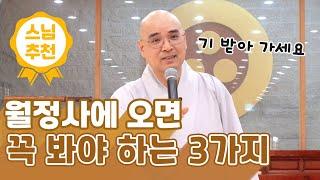 스님 추천 명당 맛집 월정사의 3가지 핵심 포인트 (희귀사진 공개) | 템플스테이 7월 여름수련회 법문 | 자현스님