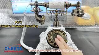 Retro Rotary Audio guestbook phone for weddings, Wedding audio guest book phone