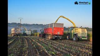 Grosse corvée d'ensilage ! 100 ha de maïs ! 2X BIGX