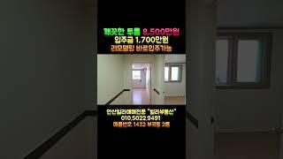 #안산빌라매매 리모델링된 깨끗한 투룸.매매가격 8,500만원 방2개 모두 트여서 환하고, 버스정류장도 가까워요~ 안산부곡동투룸빌라