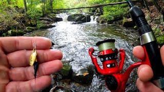 Fishing a Overlooked Appalachian Mtn Creek