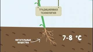повышение урожайности растениеводства. Технологии жидкого сложного питания растений.