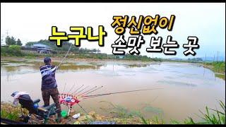 초지수로 / 엄청나게 땡겼습니다 / 신들린 찌올림 / 입질폭탄 #붕어낚시 #bigfishing  #강화도수로저수지낚시 #노지낚시