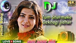 Tum Sharmake Dekhogi Jidhar Sanu DaOld Hindi Purani Dj Gane Soft Love MixEvergreen Hindi Song