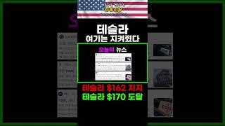 테슬라 '여기는' 지켜줬다.