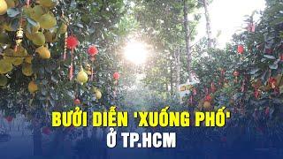 Bưởi Diễn "xuống phố", vàng rực khắp cung đường TP.HCM