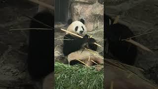 卡顿果果…