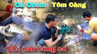 Không ngờ luôn quăng chài chổ nào cũng có Cá Chẽm vs Tôm Càng | GĐCG #841