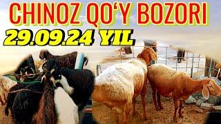 CHINOZ QOʻY BOZORIDAGI BUGUNGI NARXLAR 