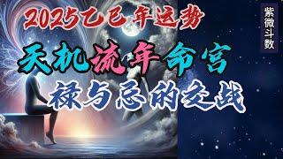 【紫微斗数分享】天机星坐流年命宫| 天机星2025年的流年运势| 乙巳年|#紫微斗数 #天机