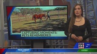 Capturing Moments: Pets Remembered