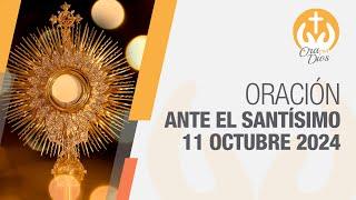 Adoración al Santísimo Viernes 11 Octubre de 2024, Padre Luis Fernando Palacio  Ora Con Dios